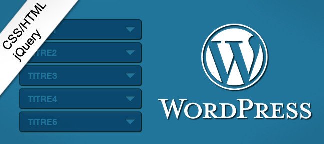Un menu accordéon dans une page à partir de l'admin WP