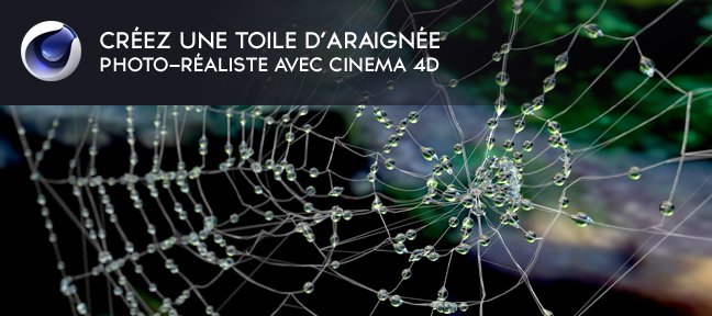 Créer une toile d'araignée réaliste pour Halloween