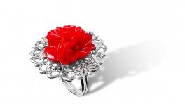 rose-rouge-bague.jpg