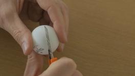 14_celluleiPhone_02.mov.Still004.jpg