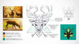 planche-cerf.jpg