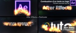 Combustion d'un texte ou logo avec Particular