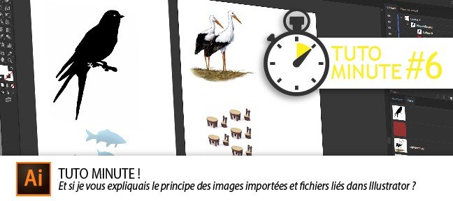 Tuto Minute n°6